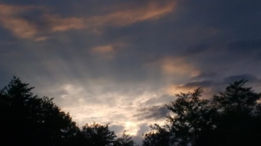 IMG_20170929_075137502